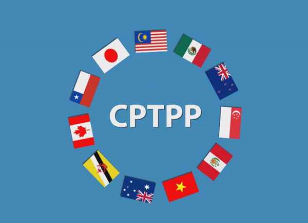 Sổ tay Tìm hiểu thị trường mua sắm công Việt Nam qua lăng kính CPTPP